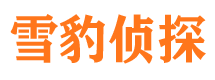 芦山外遇出轨调查取证